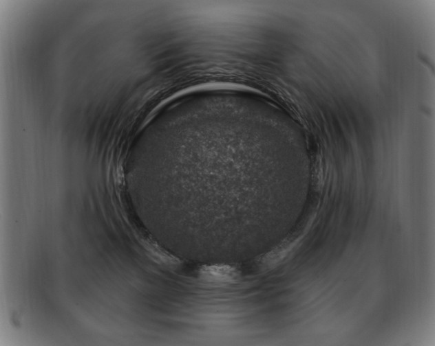 X0000092040137200709121200