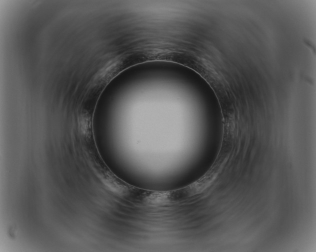 X0000092040138200709121200