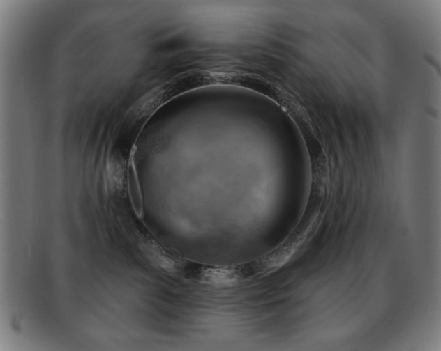 X0000092040139200709121200