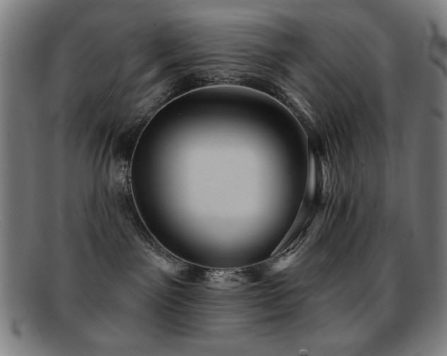 X0000092040141200709121200