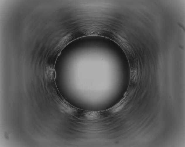 X0000092040142200709121200