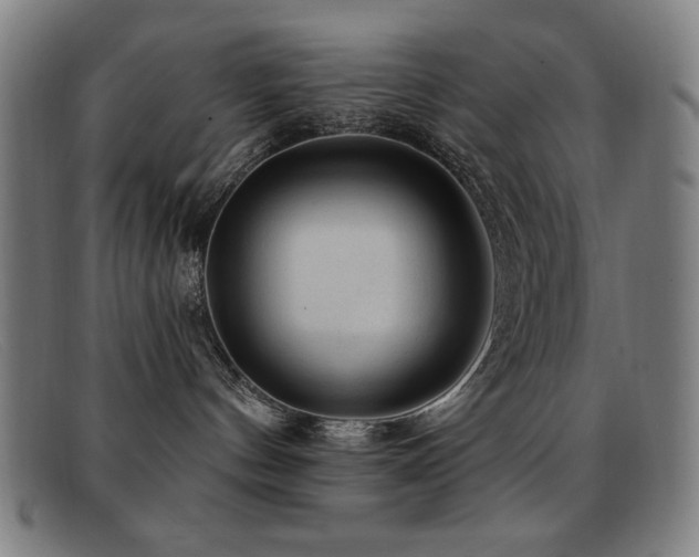 X0000092040144200709121200