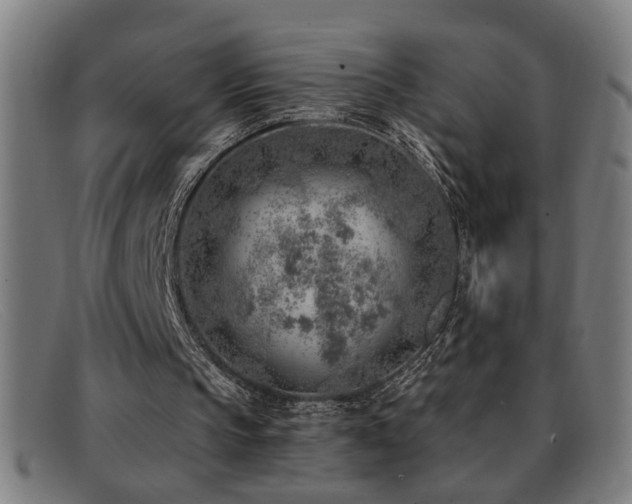 X0000092040145200709121200