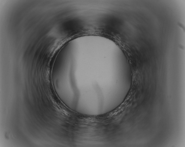 X0000092040146200709121200