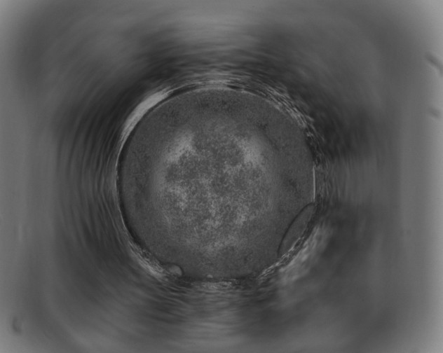 X0000092040147200709121200