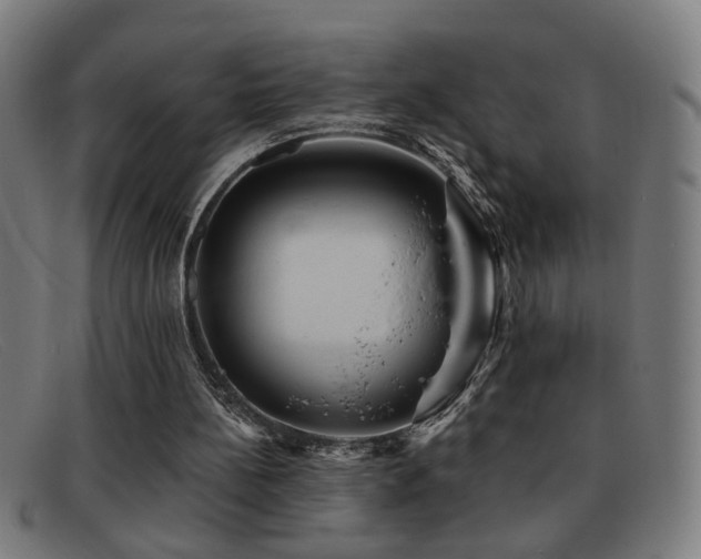 X0000092040148200709121200