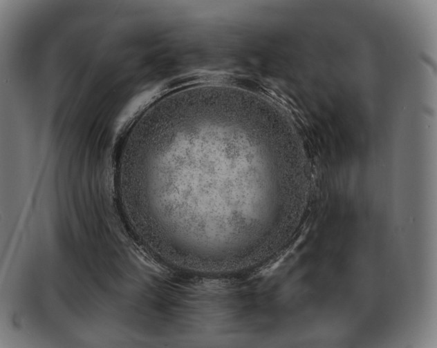 X0000092040149200709121200