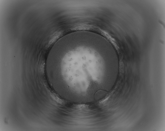 X0000092040153200709121200