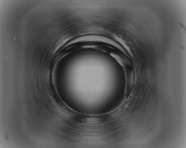 X0000092040154200709121200