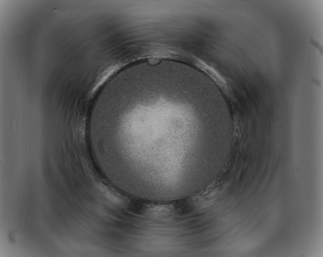 X0000092040155200709121200