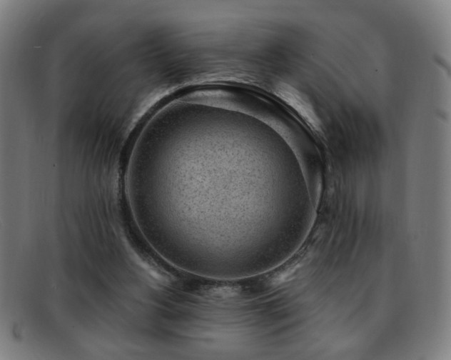 X0000092040156200709121200