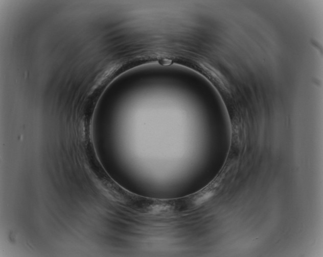 X0000092040158200709121200