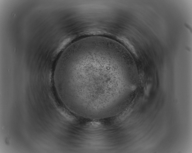 X0000092040159200709121200