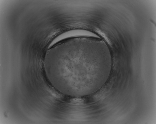 X0000092040161200709121200