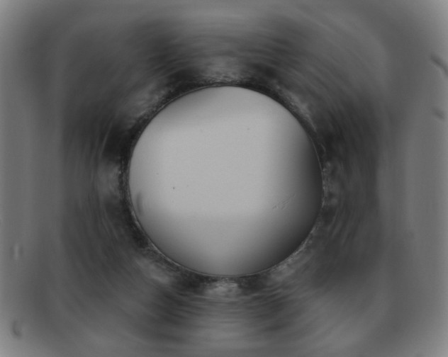 X0000092040162200709121200