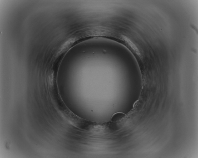 X0000092040163200709121200