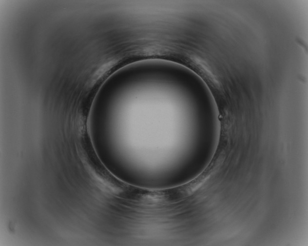 X0000092040164200709121200