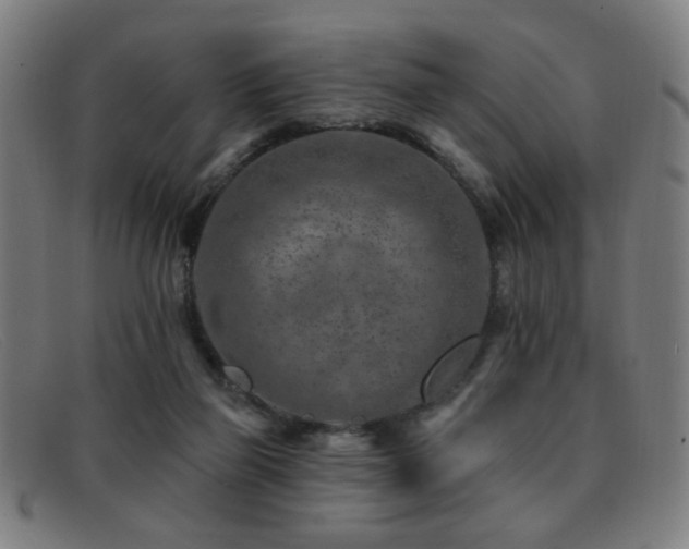 X0000092040165200709121200