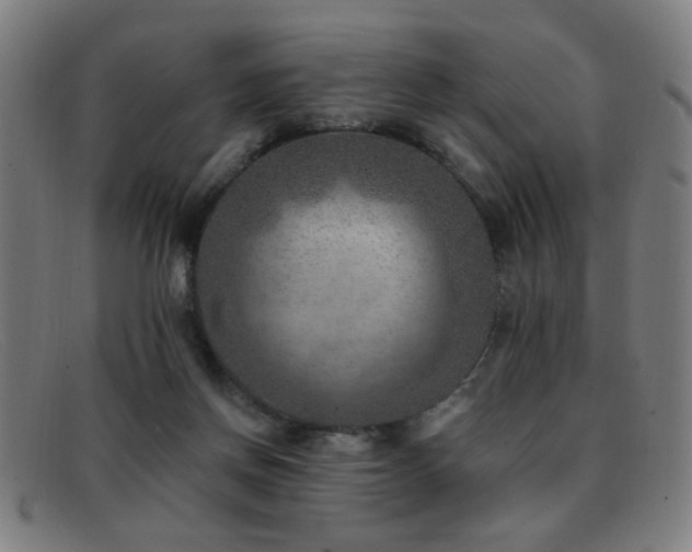 X0000092040166200709121200