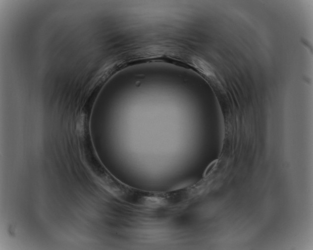 X0000092040167200709121200