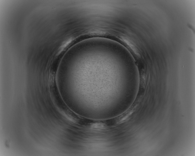 X0000092040168200709121200