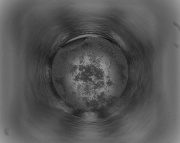 X0000092040169200709121200