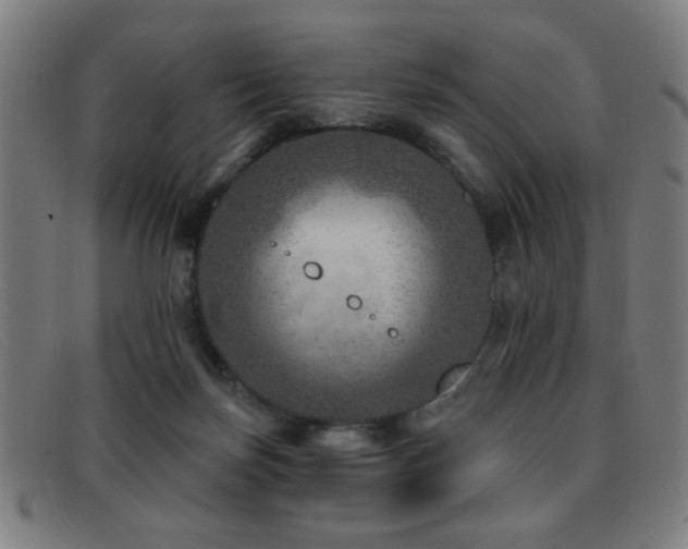 X0000092040171200709121200