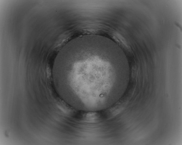 X0000092040173200709121200