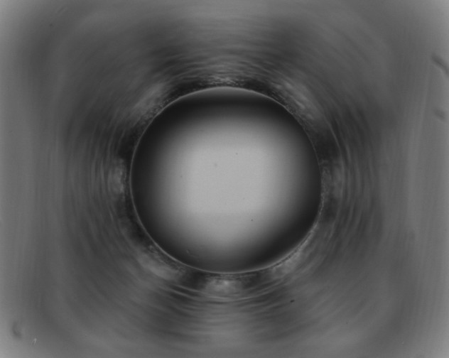 X0000092040174200709121200