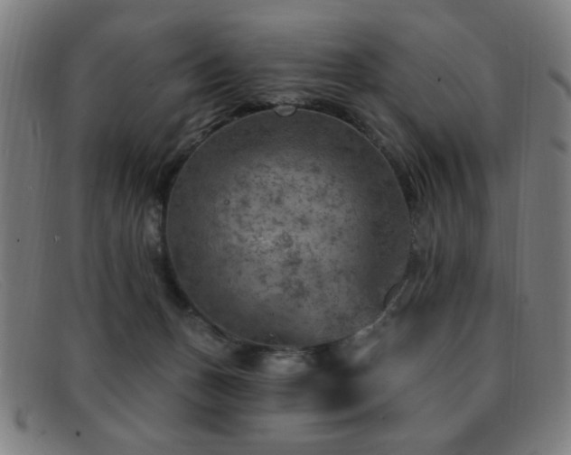 X0000092040175200709121200