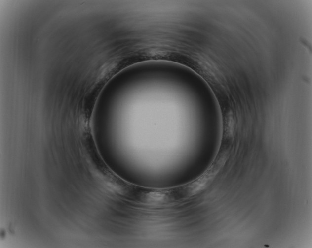 X0000092040176200709121200