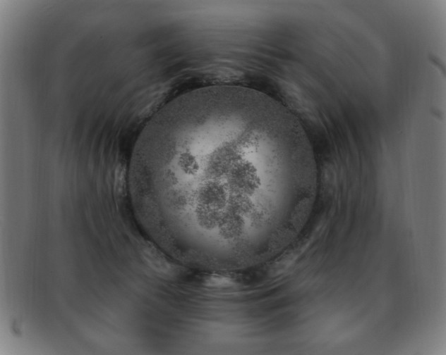 X0000092040177200709121200