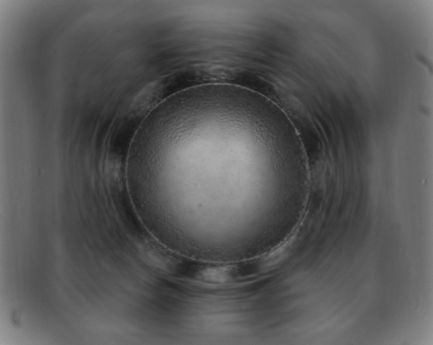 X0000092040178200709121200