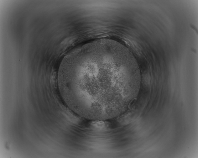 X0000092040181200709121200
