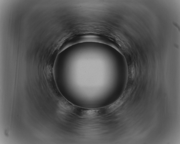 X0000092040184200709121200