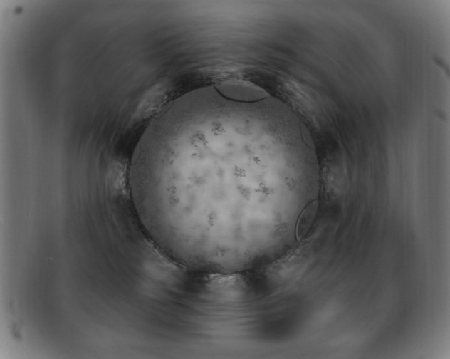 X0000092040185200709121200