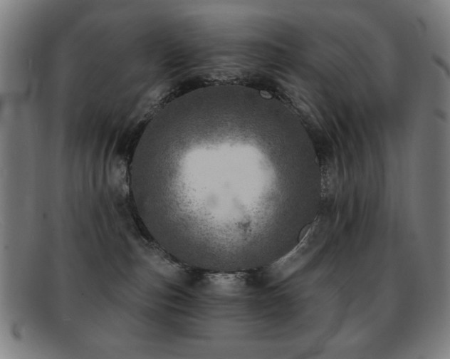 X0000092040187200709121200