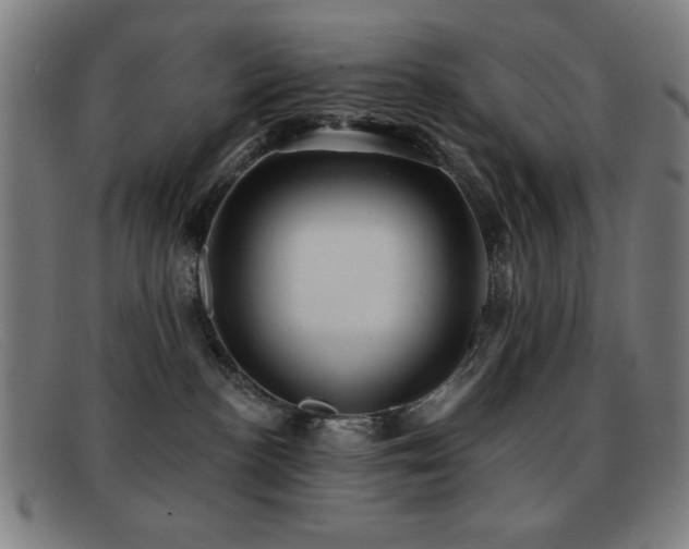 X0000092040188200709121200