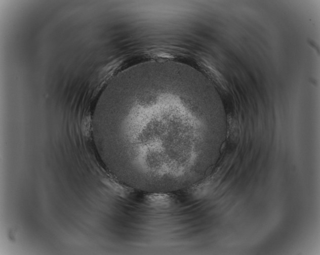 X0000092040189200709121200