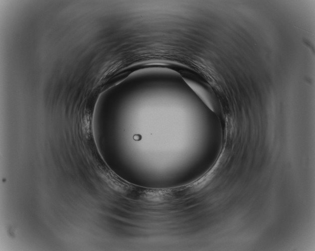 X0000092040190200709121200