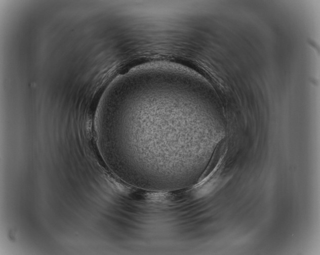 X0000092040192200709121200