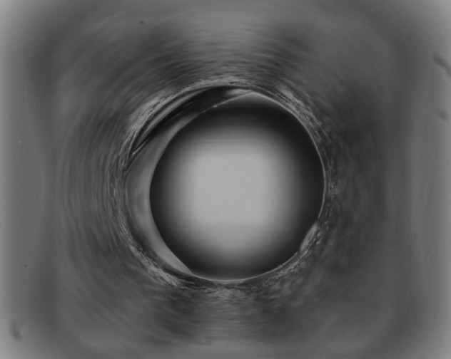 X0000092040193200709121200