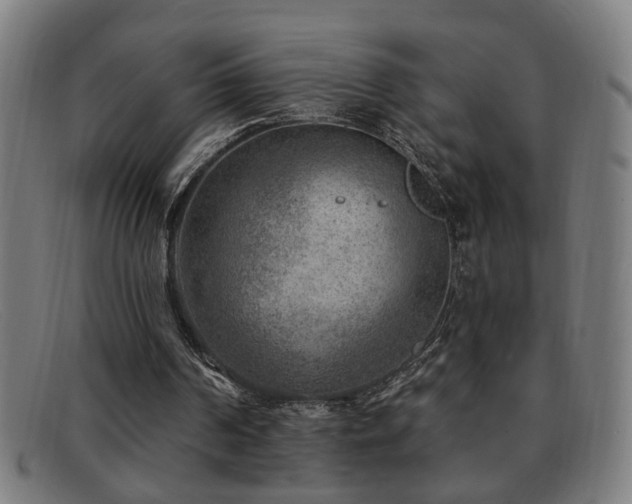 X0000092040194200709121200