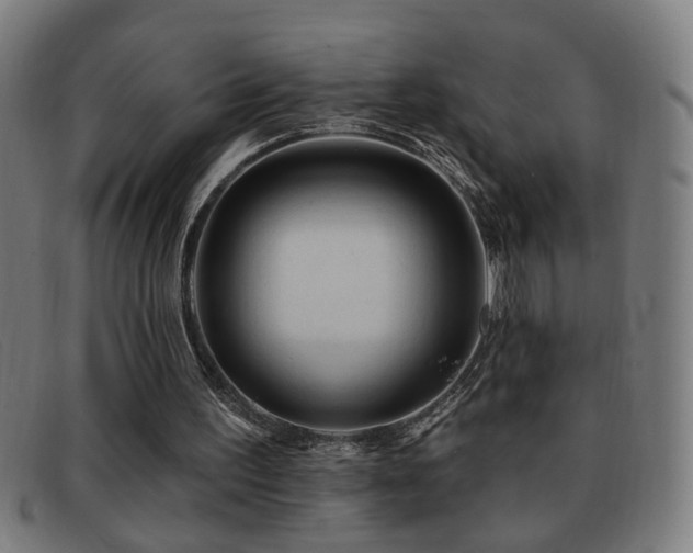 X0000092040195200709121200