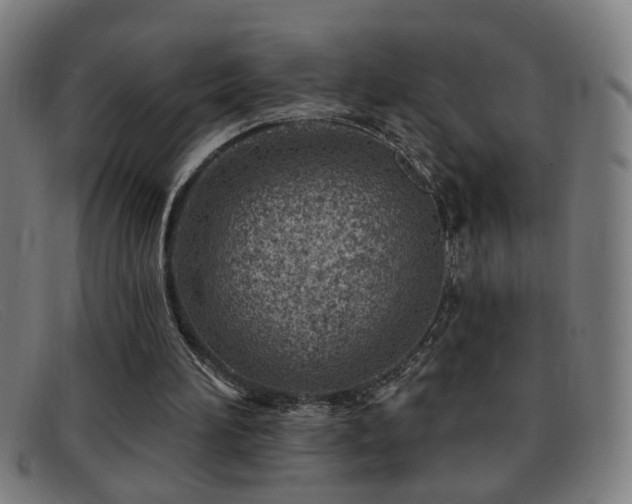 X0000092040196200709121200