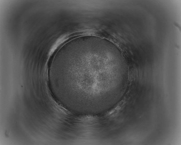 X0000092040198200709121200