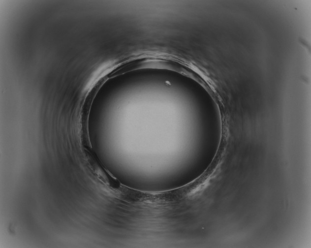 X0000092040199200709121200