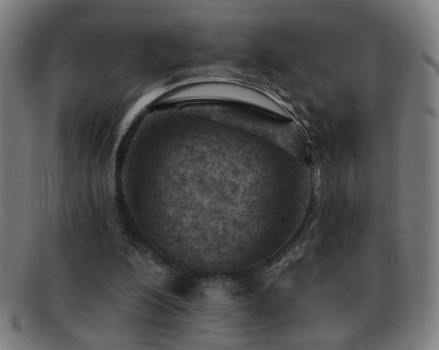 X0000092040200200709121200