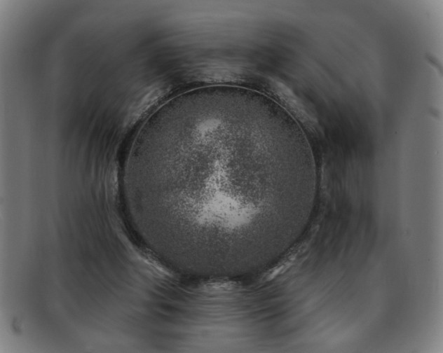 X0000092040202200709121200