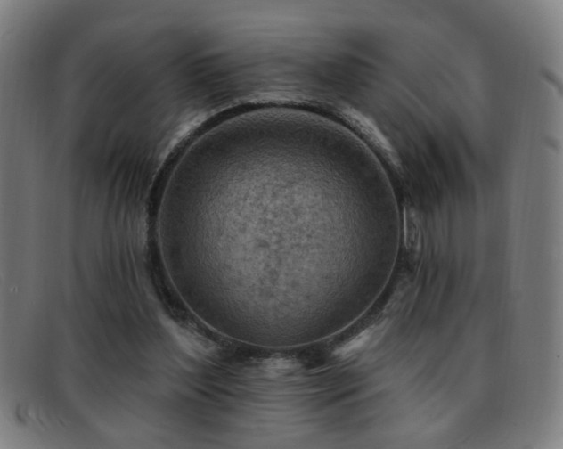 X0000092040204200709121159